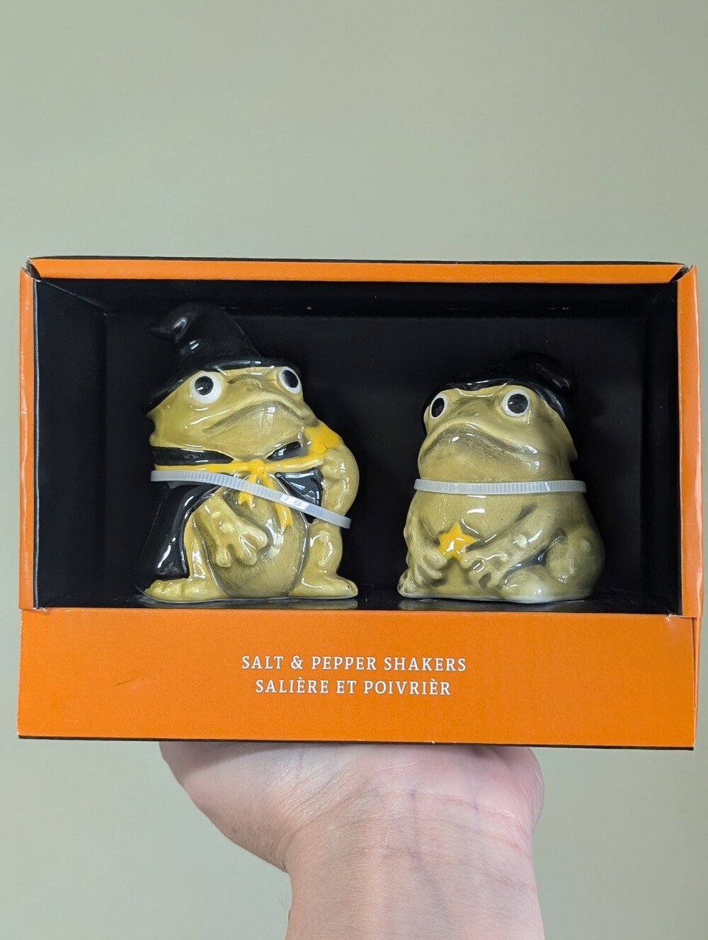 Witchy Frog Ceramic Salt and Pepper Shaker Set, Halloween Home Accents 🐸
